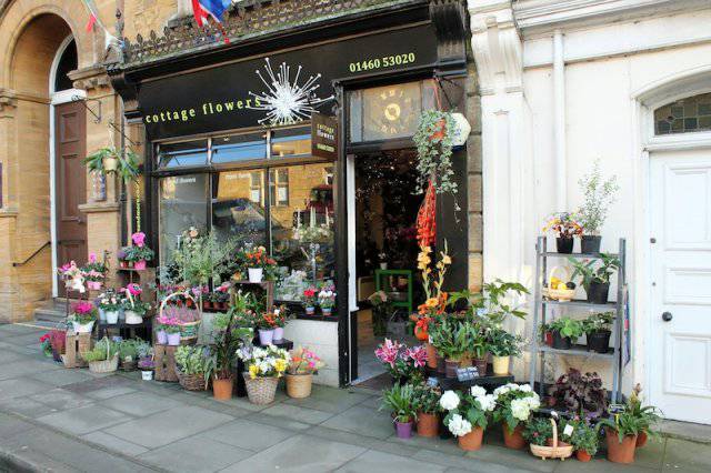 ILMINSTER NEWS: Cottage Flowers at The Chelsea of the West