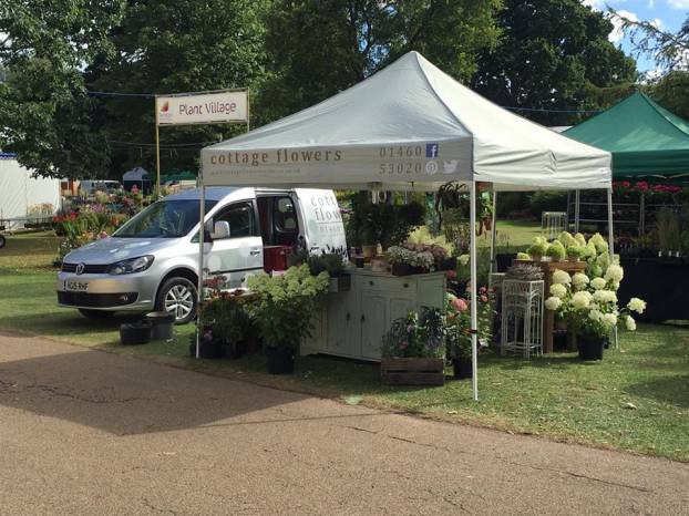 ILMINSTER NEWS: Cottage Flowers at The Chelsea of the West