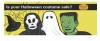 SOMERSET NEWS: Warning to take care when buying children’s costumes