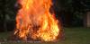 SOUTH SOMERSET NEWS: Having a garden bonfire at any time of the day is not illegal