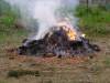 SOUTH SOMERSET NEWS: Having a garden bonfire at any time of the day is not illegal