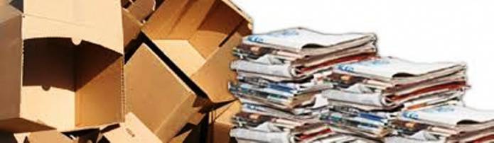 CARNIVAL: Paper collection for Gemini