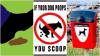 SOMERSET NEWS: Dog mess DNA should be used to track down lazy owners who fail to scoop the poop