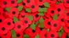 SOMERSET NEWS: We will remember them