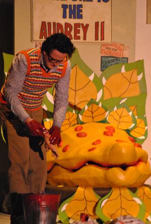 BATS Part 4 – Nov 2016: A Little Shop of Horrors was performed as Broadway village hall on November 10-12, 2016, by members of the Broadway Amateur Theatrical Society. Photo 14