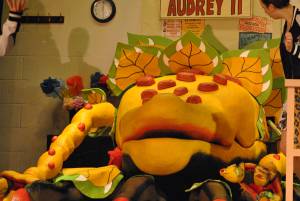 BATS Part 4 – Nov 2016: A Little Shop of Horrors was performed as Broadway village hall on November 10-12, 2016, by members of the Broadway Amateur Theatrical Society. Photo 15