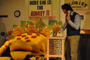 BATS Part 4 – Nov 2016: A Little Shop of Horrors was performed as Broadway village hall on November 10-12, 2016, by members of the Broadway Amateur Theatrical Society. Photo 16