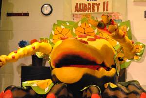 BATS Part 4 – Nov 2016: A Little Shop of Horrors was performed as Broadway village hall on November 10-12, 2016, by members of the Broadway Amateur Theatrical Society. Photo 22