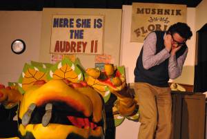 BATS Part 4 – Nov 2016: A Little Shop of Horrors was performed as Broadway village hall on November 10-12, 2016, by members of the Broadway Amateur Theatrical Society. Photo 24