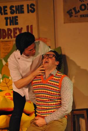 BATS Part 4 – Nov 2016: A Little Shop of Horrors was performed as Broadway village hall on November 10-12, 2016, by members of the Broadway Amateur Theatrical Society. Photo 7