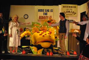 BATS Part 5 – Nov 2016: A Little Shop of Horrors was performed as Broadway village hall on November 10-12, 2016, by members of the Broadway Amateur Theatrical Society. Photo 15