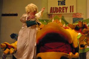 BATS Part 5 – Nov 2016: A Little Shop of Horrors was performed as Broadway village hall on November 10-12, 2016, by members of the Broadway Amateur Theatrical Society. Photo 1