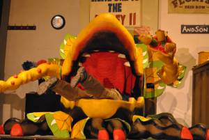 BATS Part 5 – Nov 2016: A Little Shop of Horrors was performed as Broadway village hall on November 10-12, 2016, by members of the Broadway Amateur Theatrical Society. Photo 8