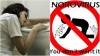 SOMERSET NEWS: Nobody wants norovirus vomiting bug for Christmas