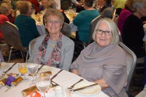 Senior Citizens Lunch – January 7, 2017: More than 120 senior citizens attended the annual Senior Citizens Lunch at the Shrubbery Hotel in Ilminster funded by local groups, individuals and organisations. Photo 10