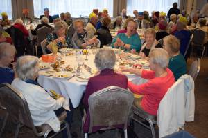 Senior Citizens Lunch – January 7, 2017: More than 120 senior citizens attended the annual Senior Citizens Lunch at the Shrubbery Hotel in Ilminster funded by local groups, individuals and organisations. Photo 2