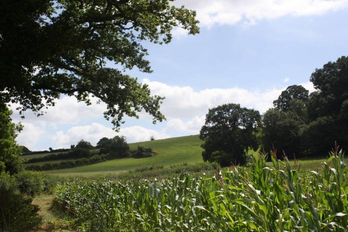 ILMINSTER NEWS: Shudrick Valley campaigners keep fingers-crossed Photo 1