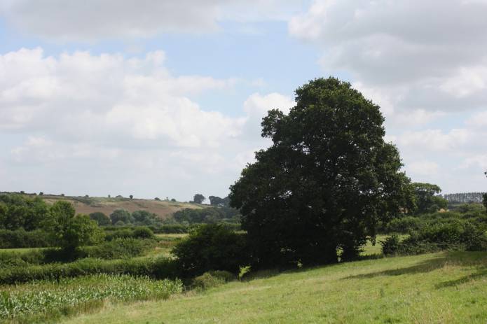 ILMINSTER NEWS: Shudrick Valley campaigners keep fingers-crossed Photo 3