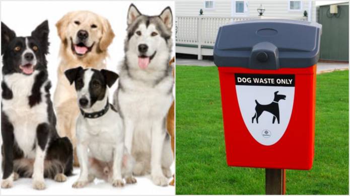 ILMINSTER NEWS: Council wants YOUR VIEWS on dogs Photo 1