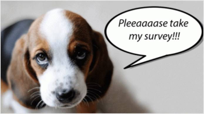 ILMINSTER NEWS: Council wants YOUR VIEWS on dogs