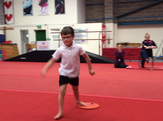 SCHOOL NEWS: Gym-tastic pupils show off their skills