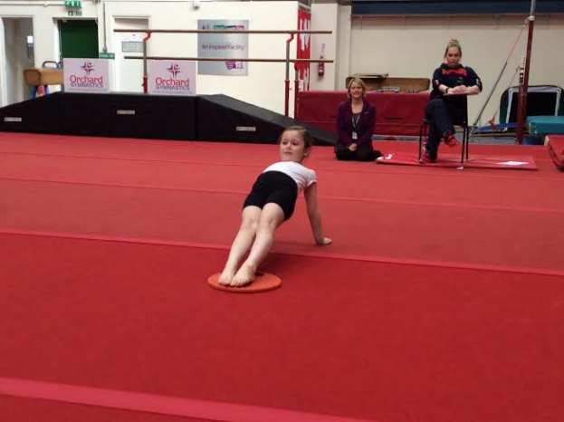 SCHOOL NEWS: Gym-tastic pupils show off their skills