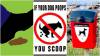 SOUTH SOMERSET NEWS: Fines dished out to dog walkers for failing to pick up their pet’s poo