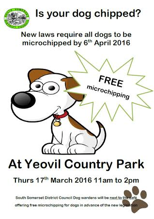 SOUTH SOMERSET NEWS: Get your dog microchipped or face a hefty fine! Photo 1