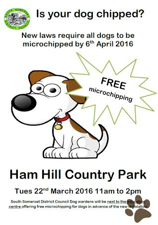 SOUTH SOMERSET NEWS: Get your dog microchipped or face a hefty fine! Photo 3